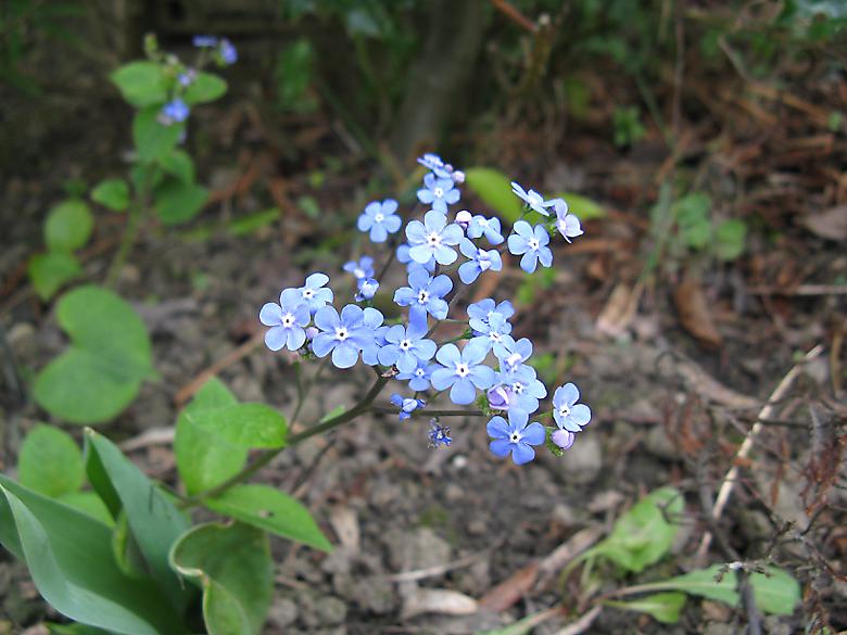 Photo 4666